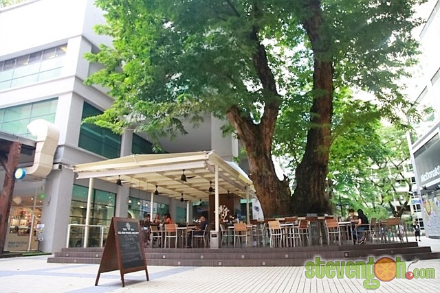 g_hotel_tree_bar2